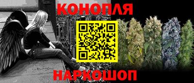 твердый Гатчина