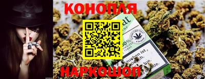 твердый Гатчина
